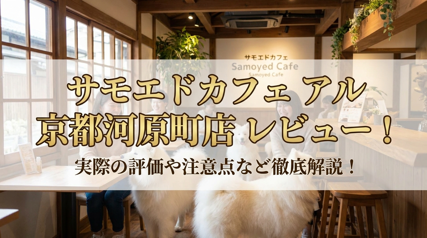 サモエドカフェ アル 京都河原町店 レビュー！実際の評価や注意点など徹底解説！