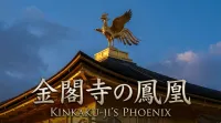 金閣寺の鳳凰の意味とは？永遠の命と平和を象徴する伝説の霊鳥の秘密！