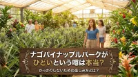 ナゴパイナップルパークがひどいという噂は本当？がっかりしないための楽しみ方とは？