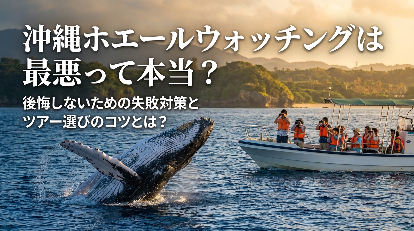 沖縄ホエールウォッチングは最悪って本当？後悔しないための失敗対策とツアー選びのコツとは？