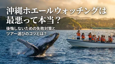沖縄ホエールウォッチングは最悪って本当？後悔しないための失敗対策とツアー選びのコツとは？