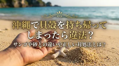 沖縄で貝殻を持ち帰ってしまったら違法？サンゴや砂との違いや正しい対処法とは？