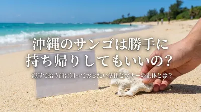 沖縄のサンゴは勝手に持ち帰りしてもいいの？海岸で拾う前に知っておきたい法律とマナーの正体とは？