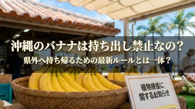 沖縄のバナナは持ち出し禁止なの？県外へ持ち帰るための最新ルールとは一体？