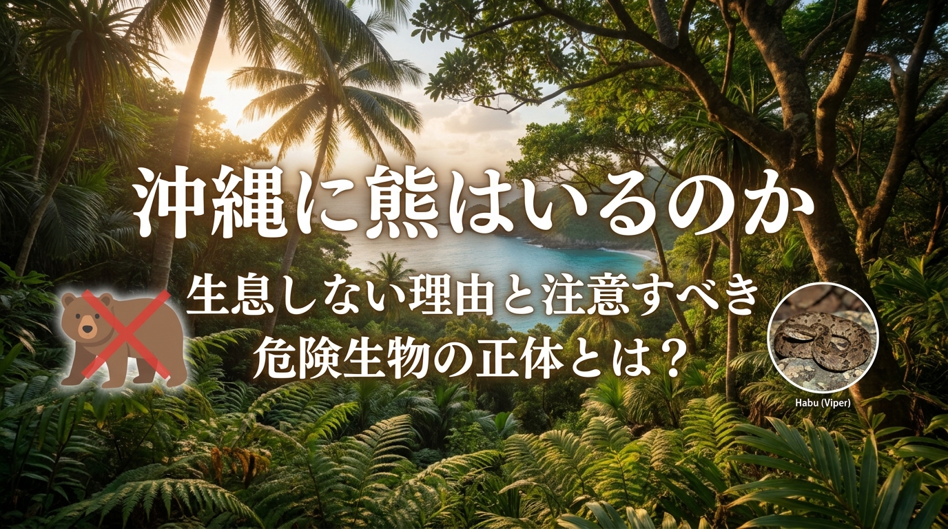 沖縄に熊はいるのか気になりますよね?生息しない理由と注意すべき危険生物の正体とは?