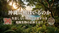 沖縄に熊はいるのか気になりますよね？生息しない理由と注意すべき危険生物の正体とは？